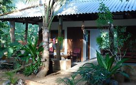 Yala Avian Eye Safari